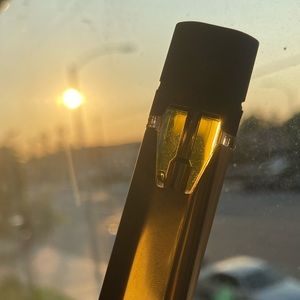 Meet your Posher, Damian